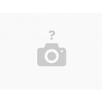 NOTEBOOK HP 250 G10 i3-1315U 8GB 256GB 156 FreeDOS (81H23LTAC8)